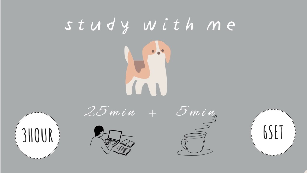 Lo-fi  Pomodoro Timer 25/5 ×6set(3h)｜with dog🐶 | focus with me｜作業用・勉強用BGM
