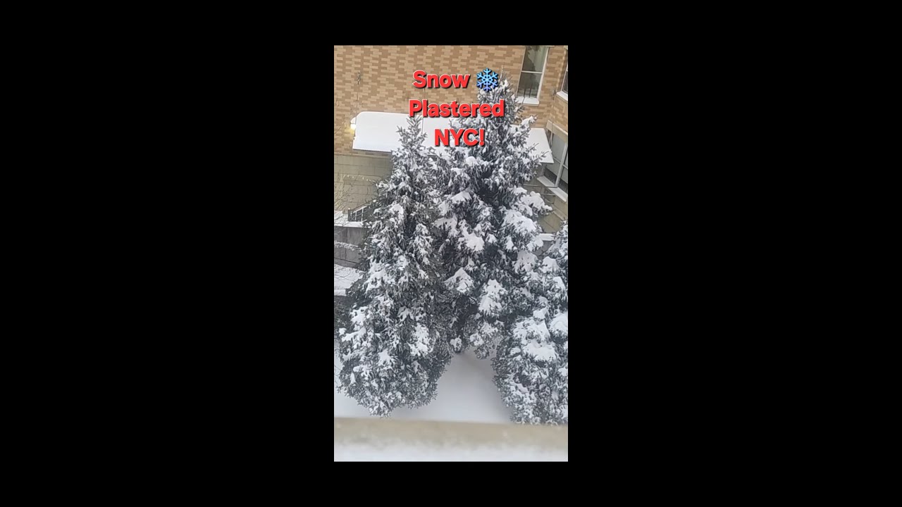Snow Blasted the East Coast in GOTHAM City New York