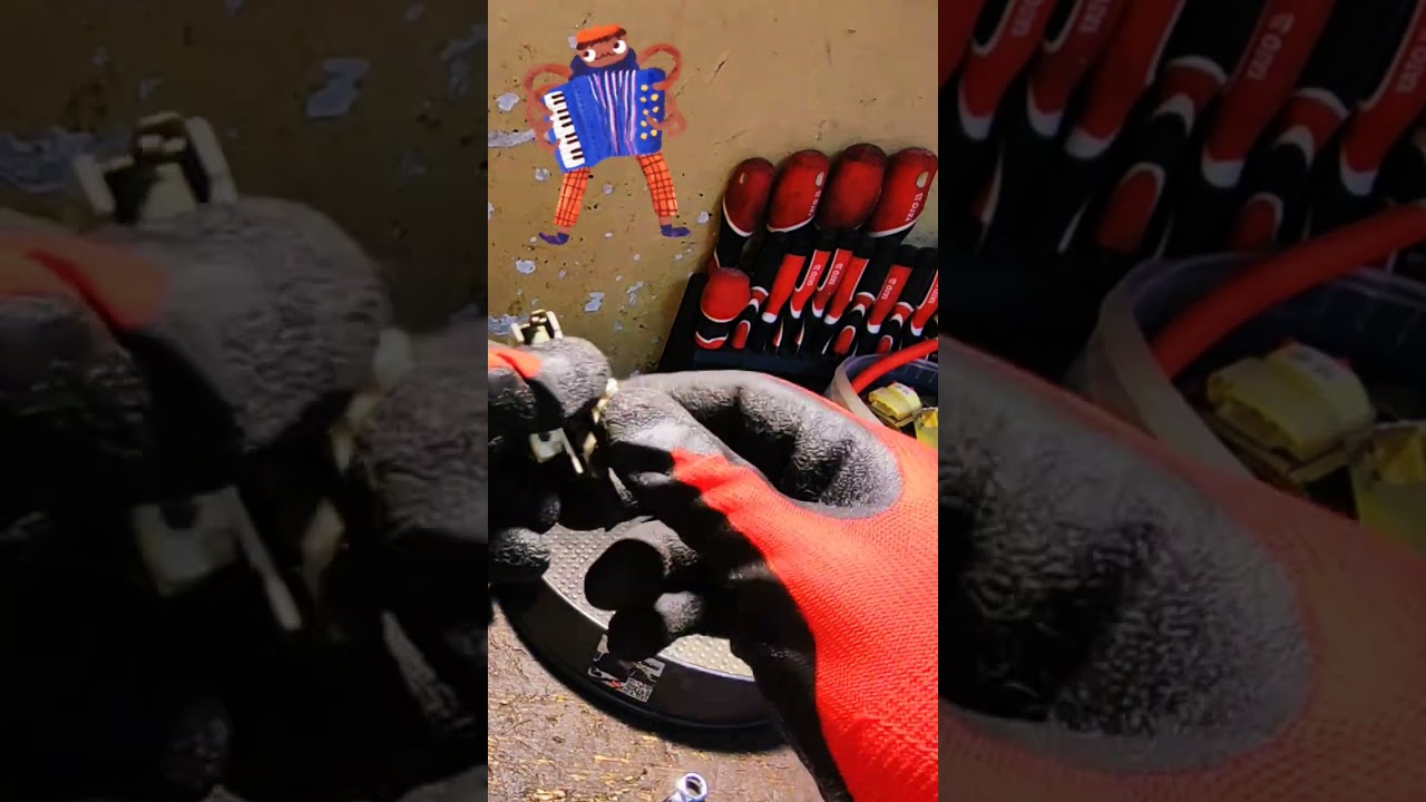 Język mi się plącze 🤣🦩