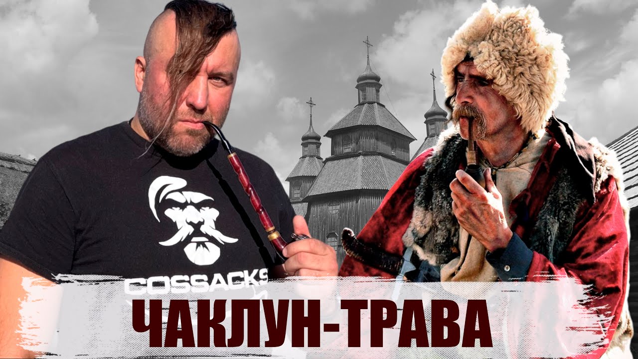 Чаклун-Трава та Козацьке Здоров’я: Історія Без Прикрас