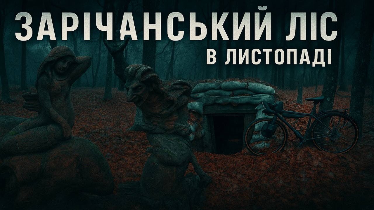 Зарічанський ліс в листопаді.