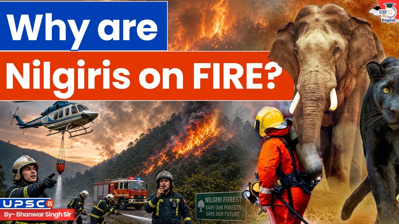 Why Nilgiris Are Burning Every Year? | Tamil Nadu Wildfires Explained!  | StudyIQ IAS English