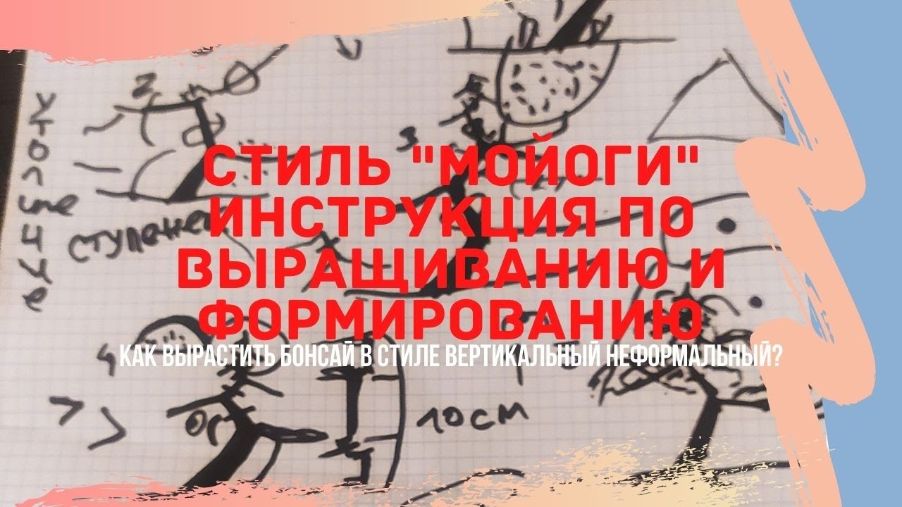Стили бонсай. Как вырастить бонсай в стиле Мойоги(Moyogi)?  How to Grow Bonsai in Moyogi Style?