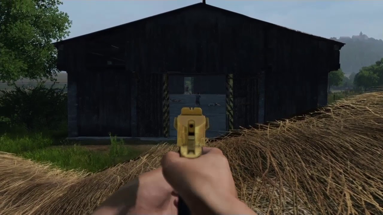 DayZ PS4 pvp server on Livonia