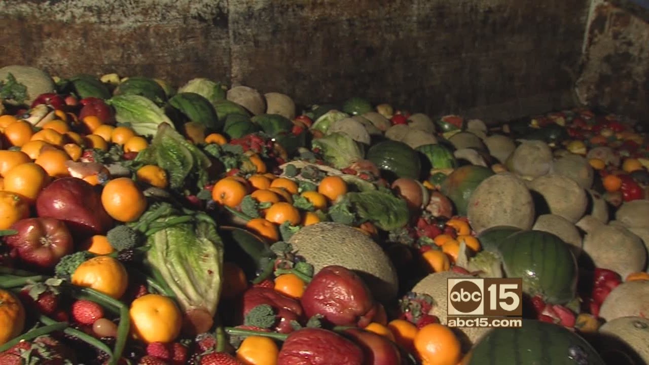 EcoScraps composting facility in Phoenix turns fruit and vegetable waste into high-grade lawn and ga