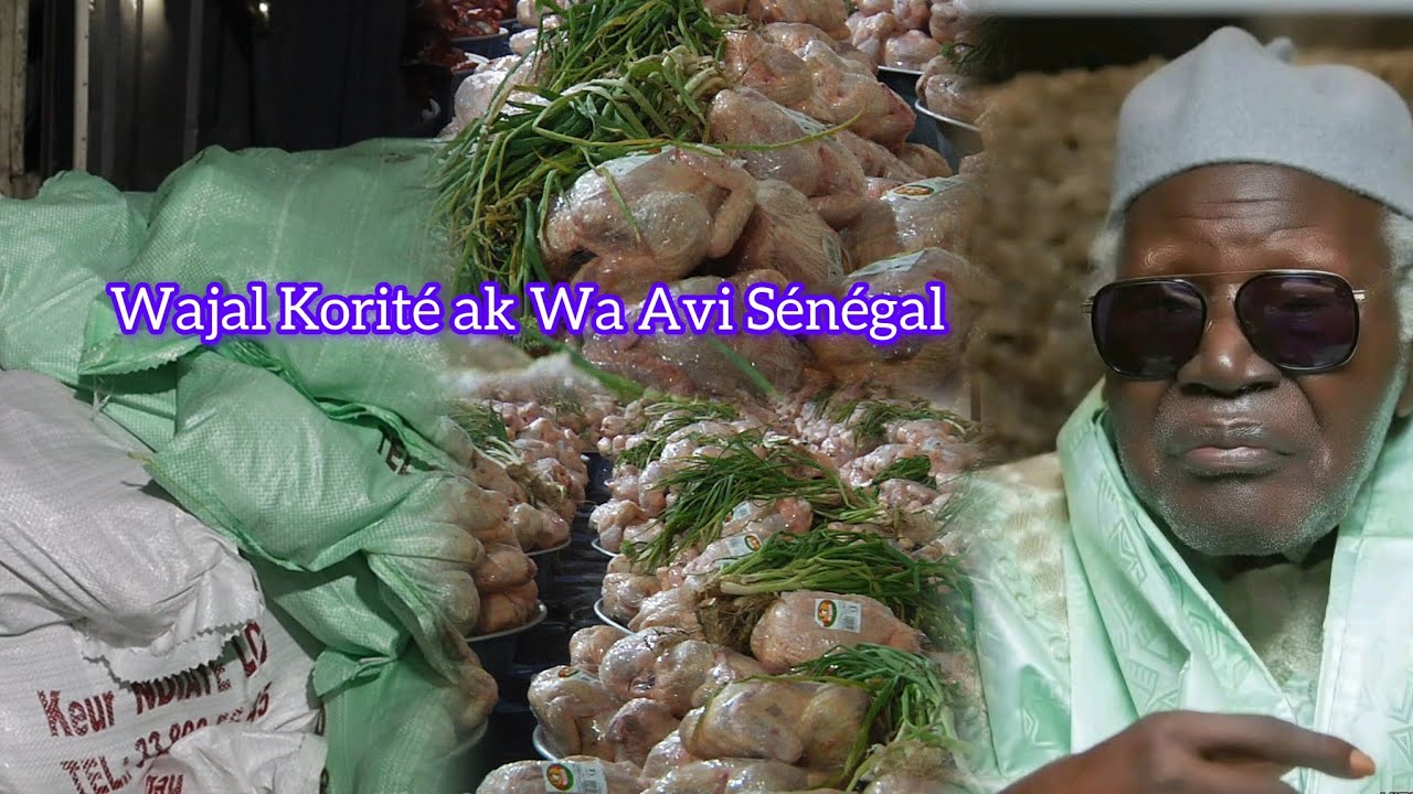 Wajal 5&egrave;me Ndogou Ajouma Ndogou Khalif General Des Baye ak Wa Avi S&eacute;n&eacute;gal 