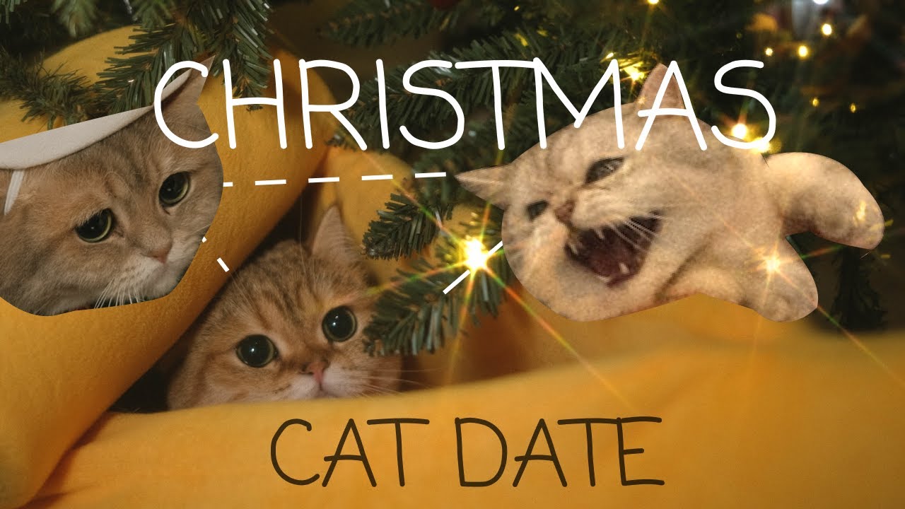 Christmas Kitty Date 🎄❤️