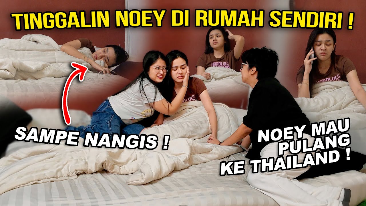 TINGGALIN NOEY DIRUMAH SENDIRIAN