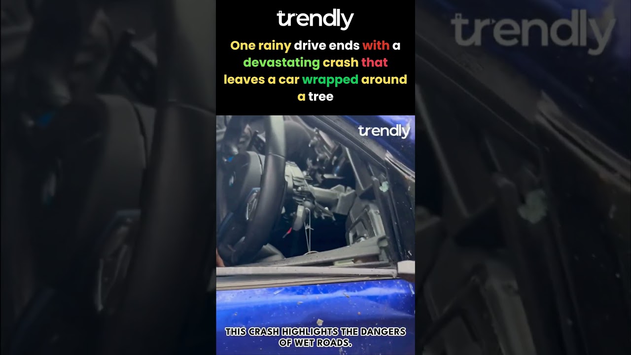 BMW врезался в дерево во время сильного дождя: место аварии