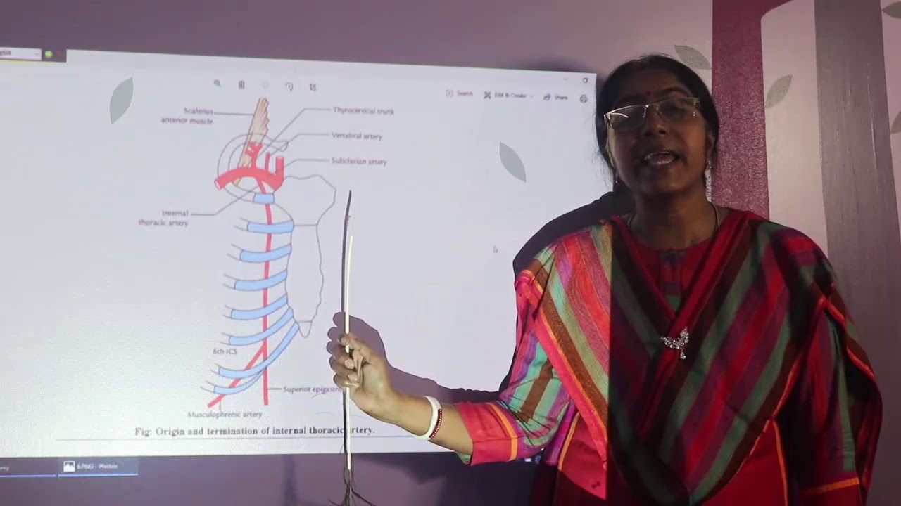 Lecture On Internal Thoracic Artery