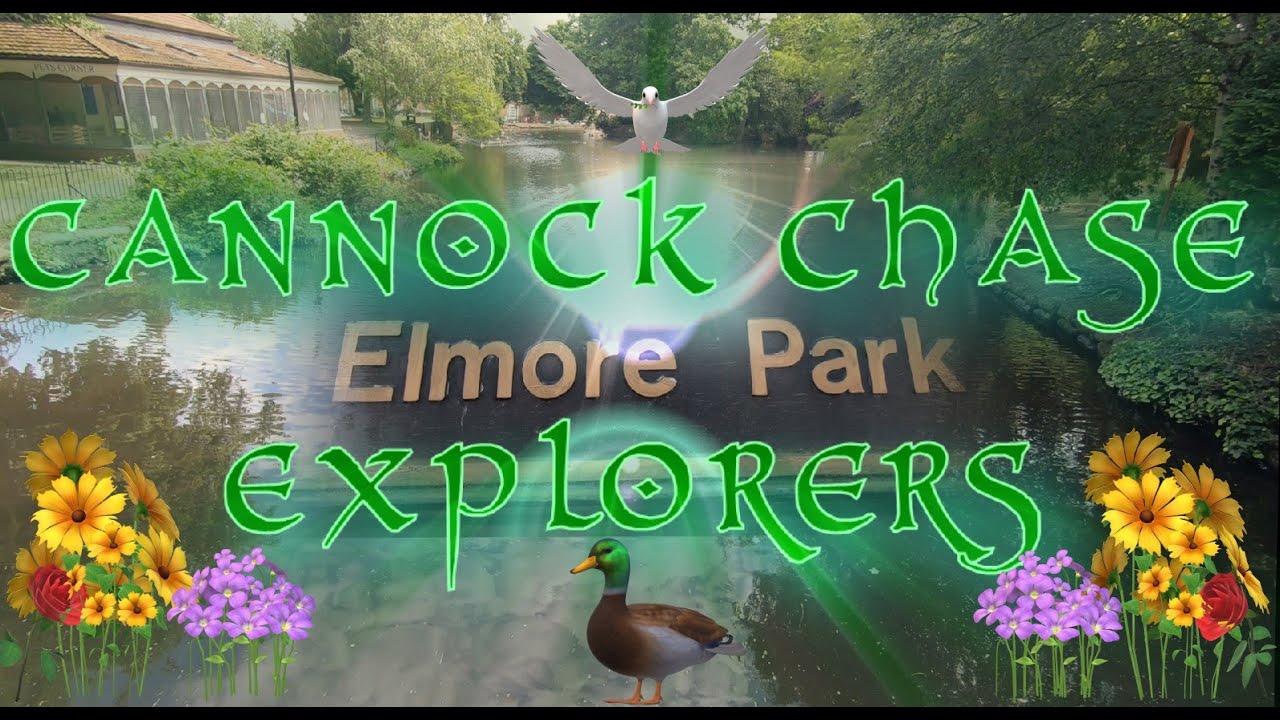 (Rugeley Elmore Park)Stunning lake surrounded by wildlife to enjoy :)