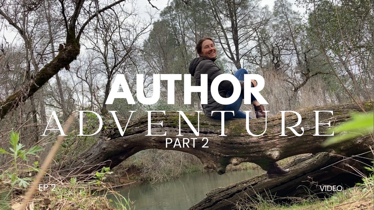 Author Adventure #2