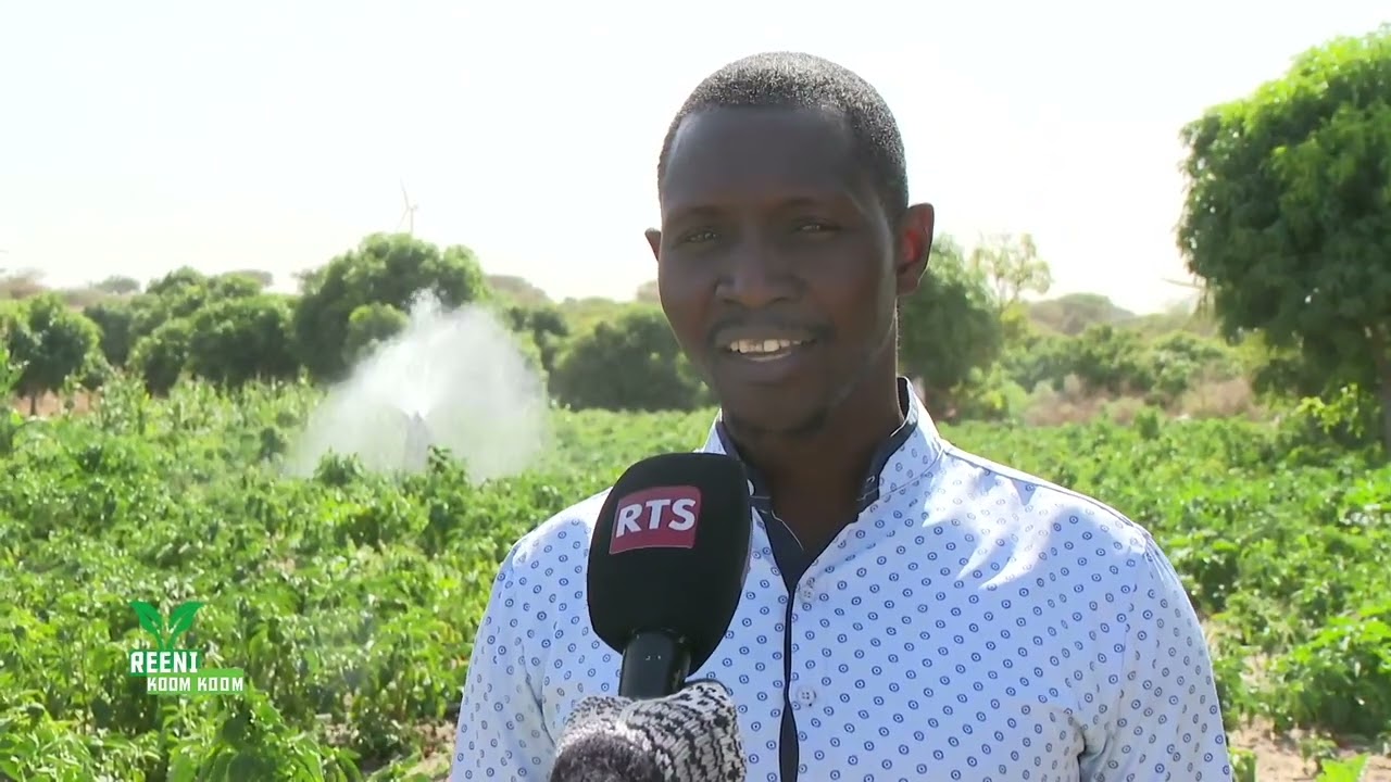 AKD REENI KOOM KOOM TAÏBA NDIAYE partie02