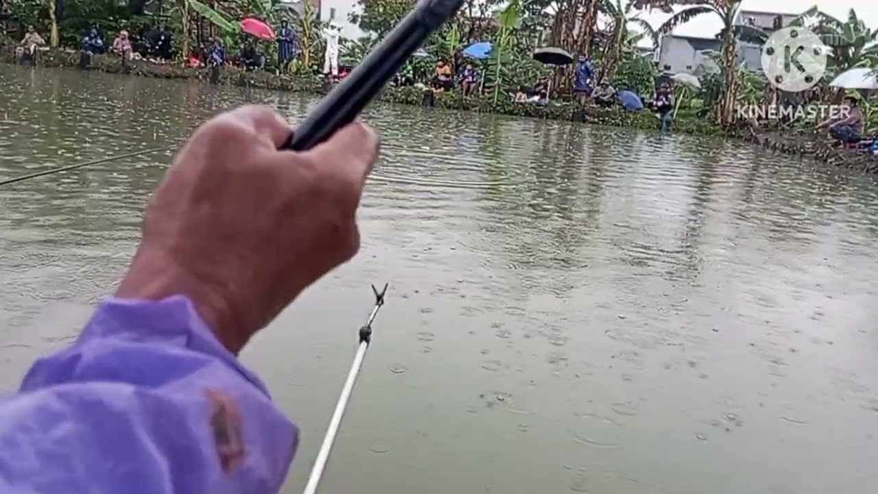 Mancing bawal ga sesuai dengan kenyataannya jam 10 udah pada bubar 22-2-2026