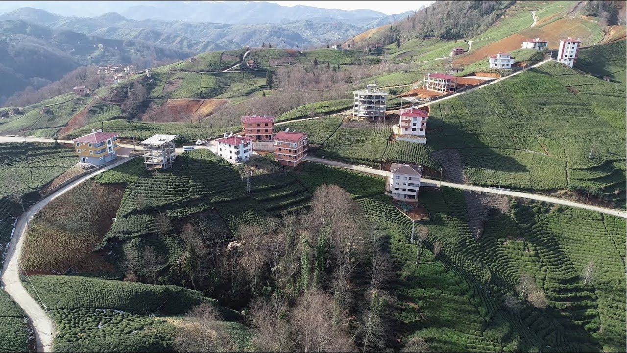 Maki Pınarca 2021
