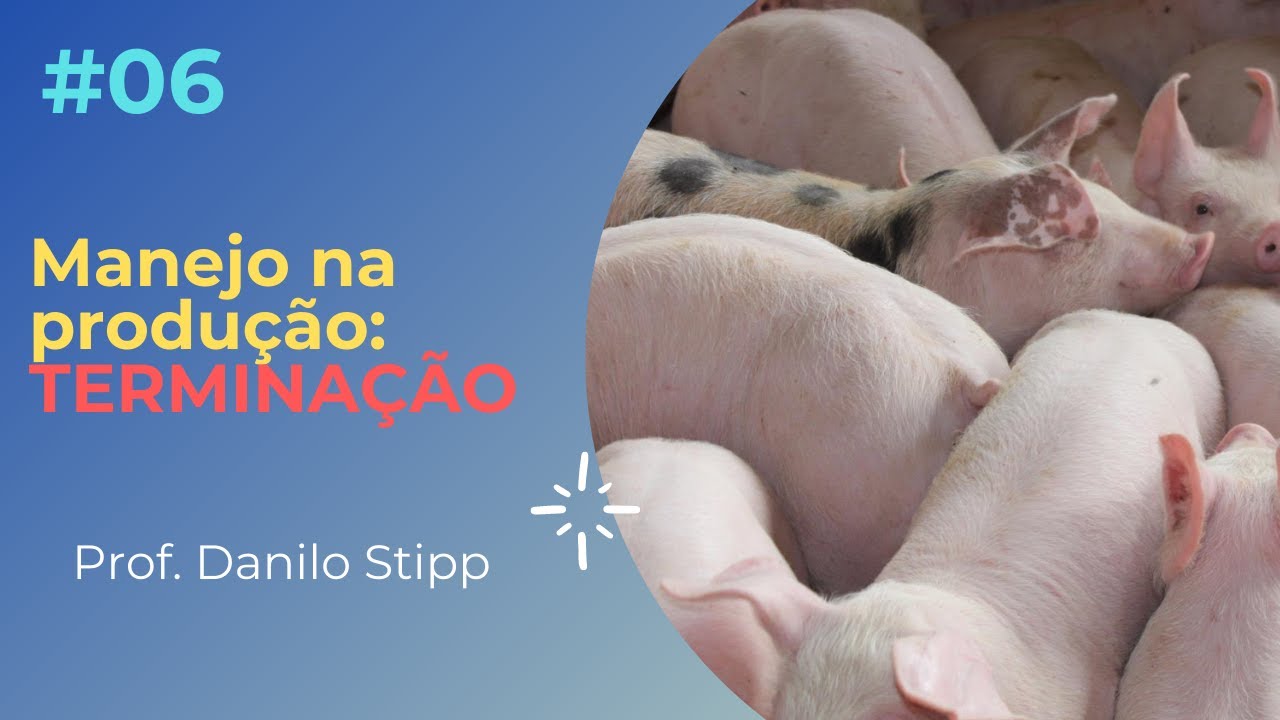 #06 - Manejo de terminação 2021