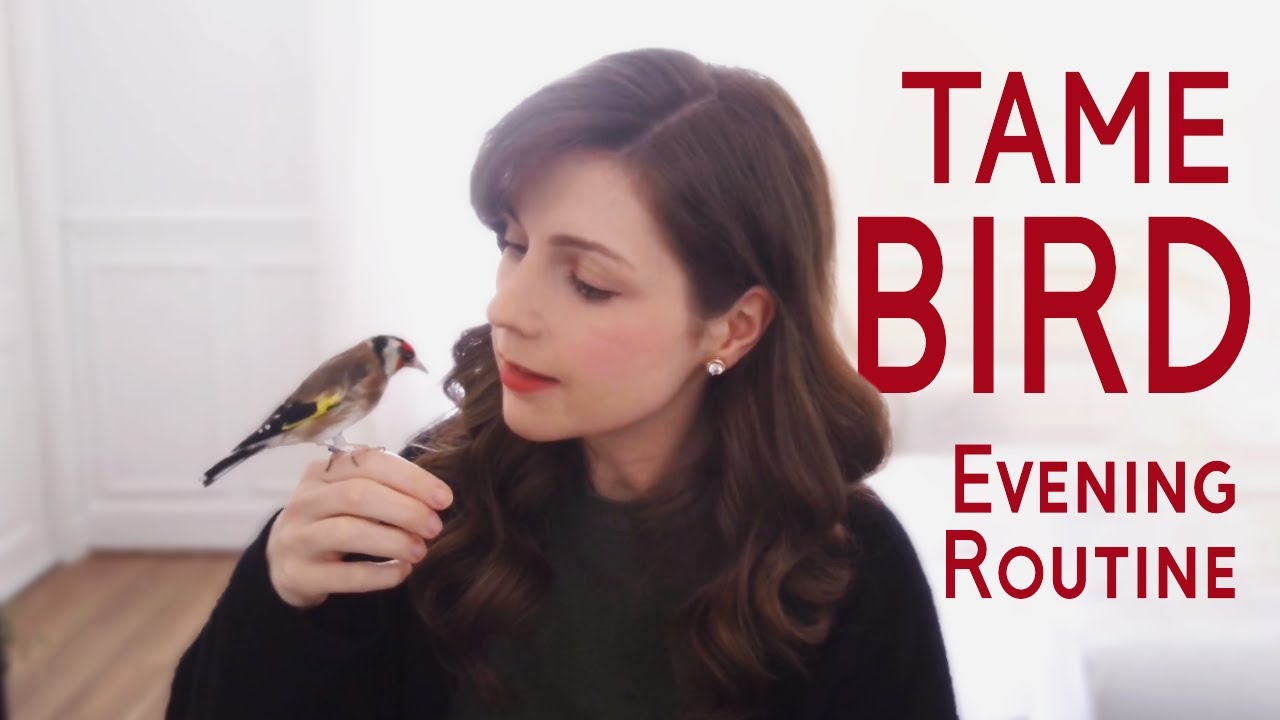 Do THIS each night to bond with your bird