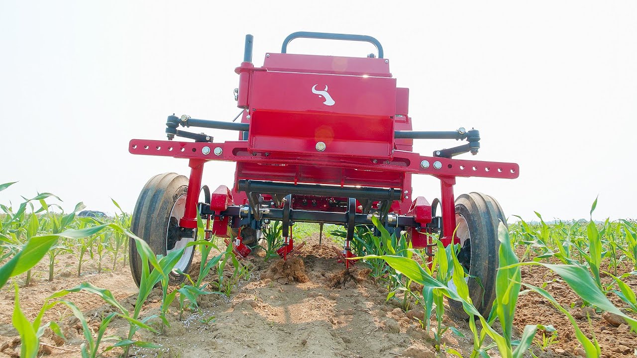 520 Tractor Finger Weeding Corn - Tilmor Works Episode #2