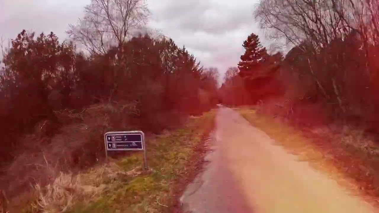 Morgendliches Abenteuer 19.03.2024