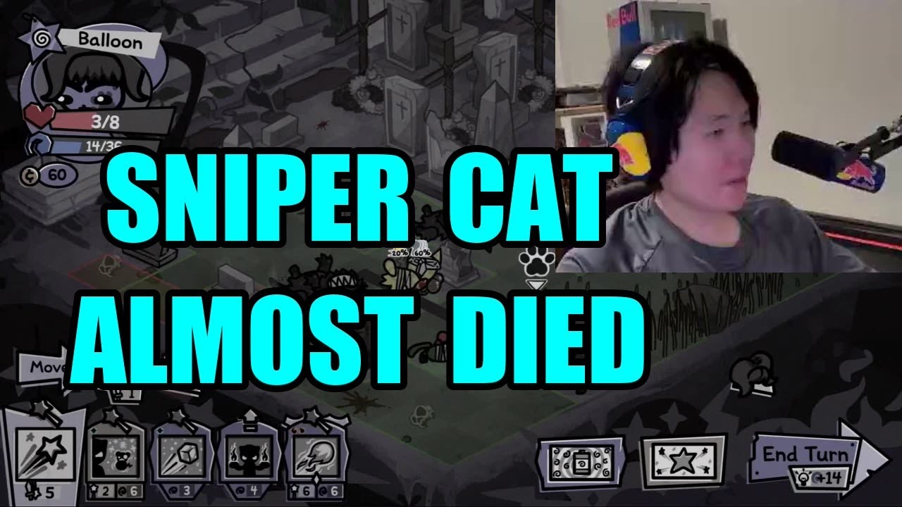 the tragic downfall of Toast's Sniper Cat