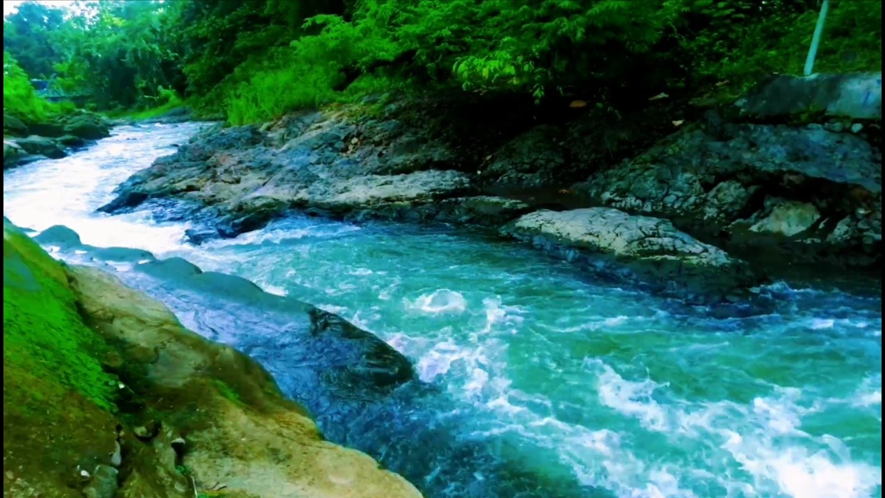 Tranquil River Ambience – Soft Stream and Forest Sounds for Deep Sleep and Inner Peace