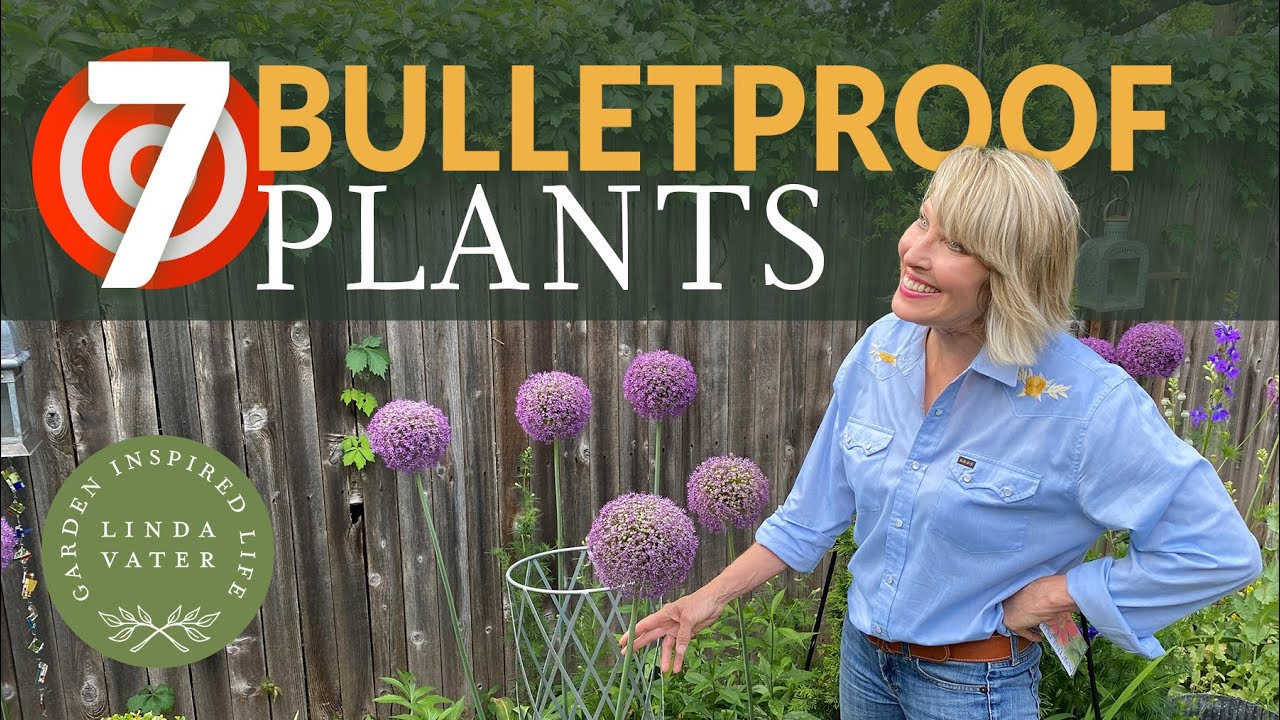 7 PERENNIALS ANYONE CAN GROW