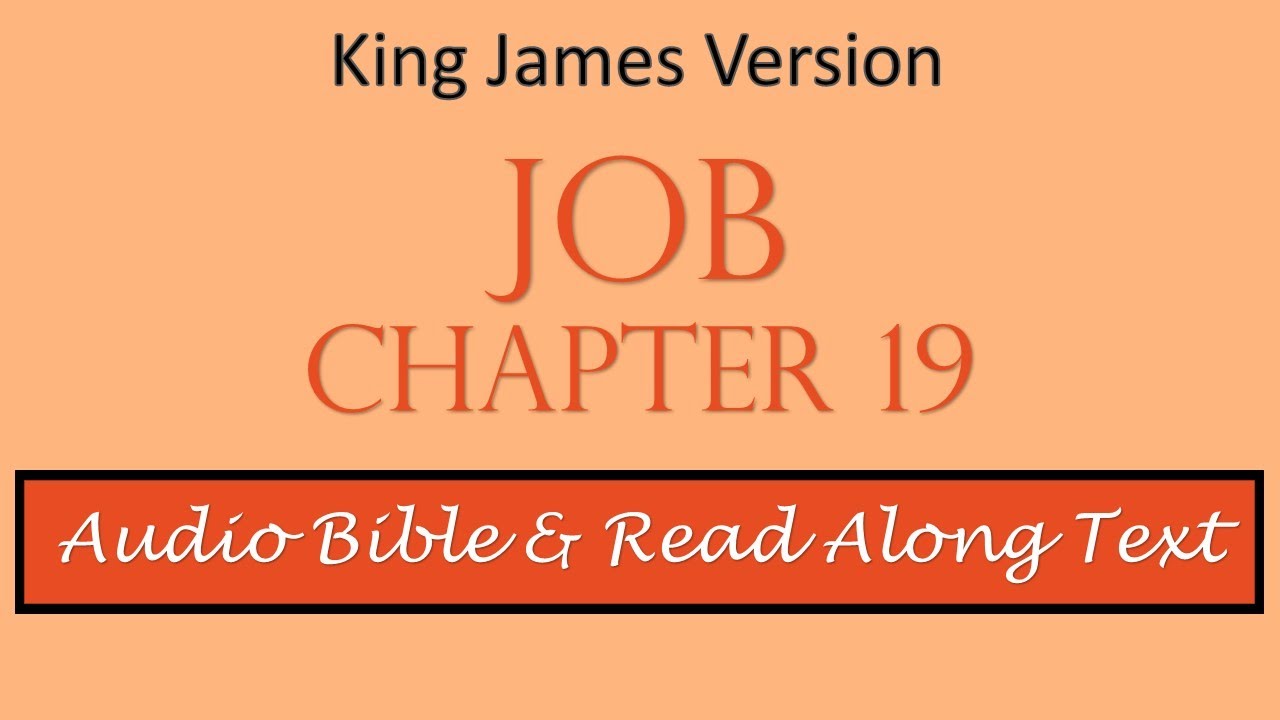 Job 19 | KJV DRAMATIZED AUDIO BIBLE WITH TEXT
