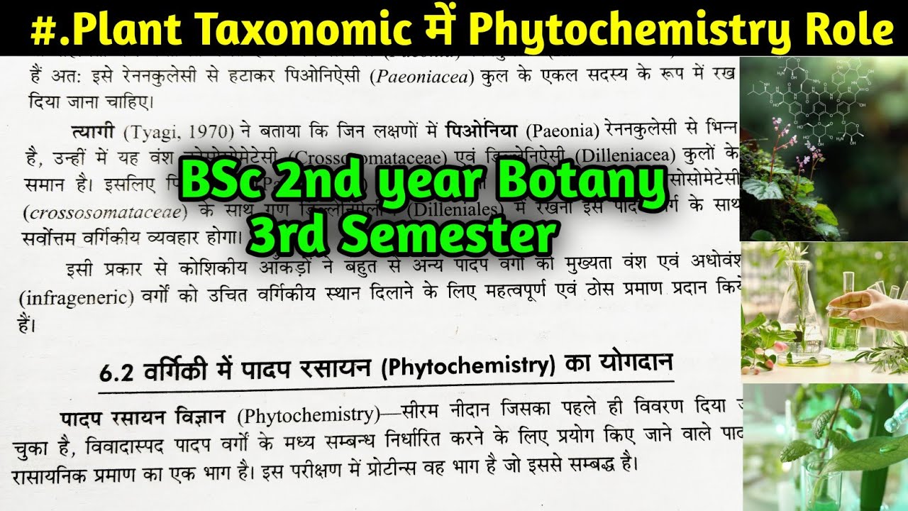Taxonomic Evidence of Phytochemistry Cytology and Palynology Part-2 || BSc 2nd year Botany 3rd Sem