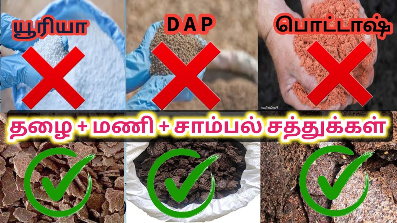 ஜீரோ பட்ஜெட் விவசாயம்  தழை, மணி, சாம்பல் சத்துக்கள் இயற்கை முறையில் செடிகளுக்கு கொடுப்பது எப்படி...