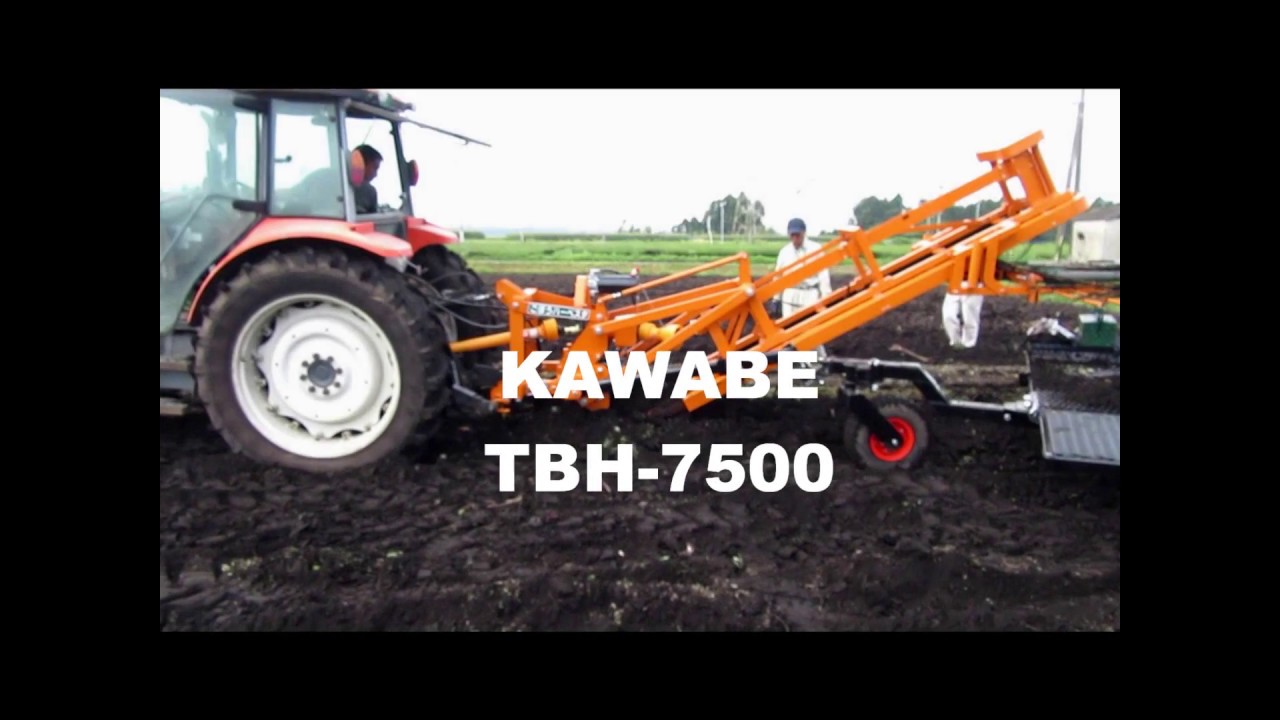 KAWABE  TBH-7500(トレーラーけん引式ゴボウ収獲機）burdock harvester