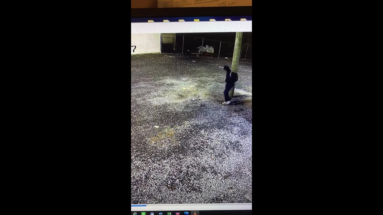 CPD releases video of vandalism suspect