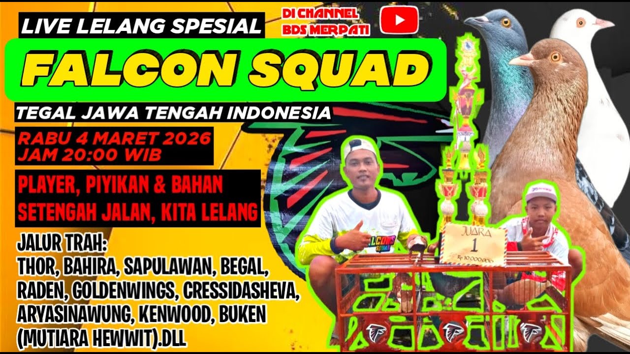 LELANG TEAM FALCON SQUAD//TEGAL//BDS MERPATI//LIVE LELANG MERPATI//MERPATI KOLONG