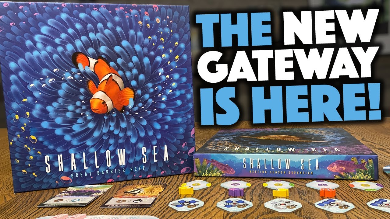 Shallow Sea — это лучшая игра для начинающих прямо сейчас?