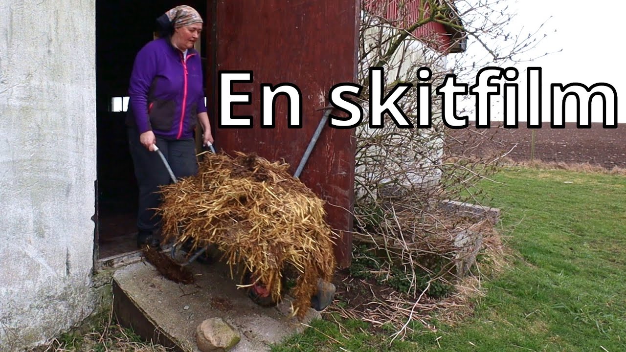 En riktig skitfilm - mockar hos gässen