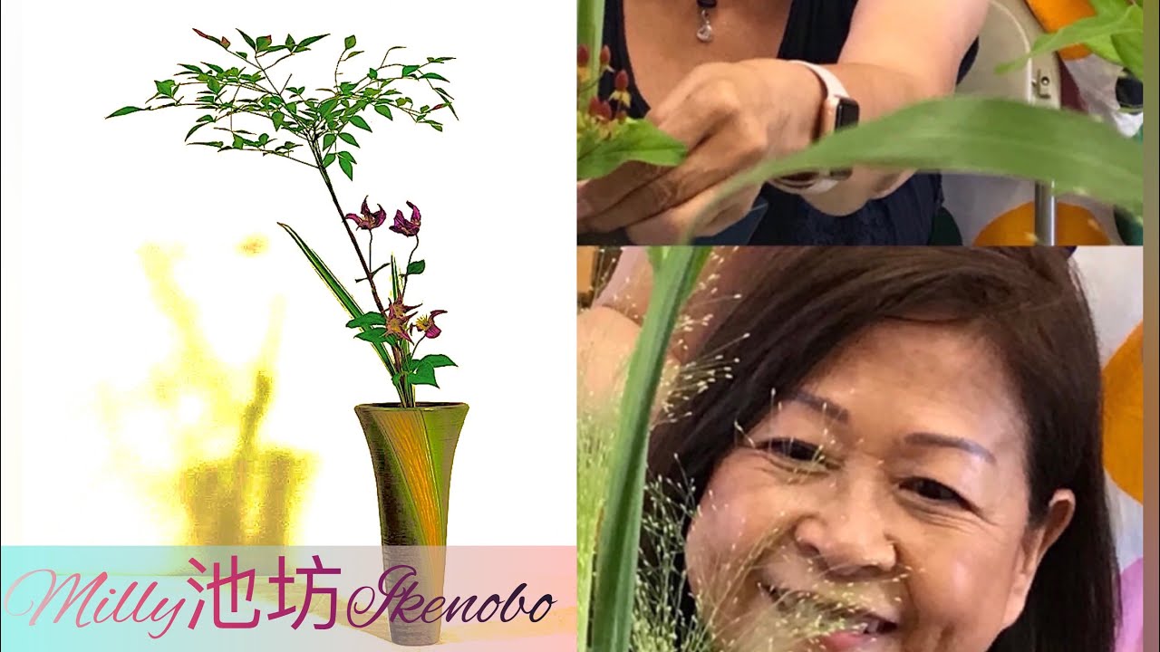 沲坊花道 生花新風體 Ikenobo SHOKA SHIMPUTAI - Ikebana: Art of Japanese Floral Arraignment｜MILLY老師 池坊插花示範展示