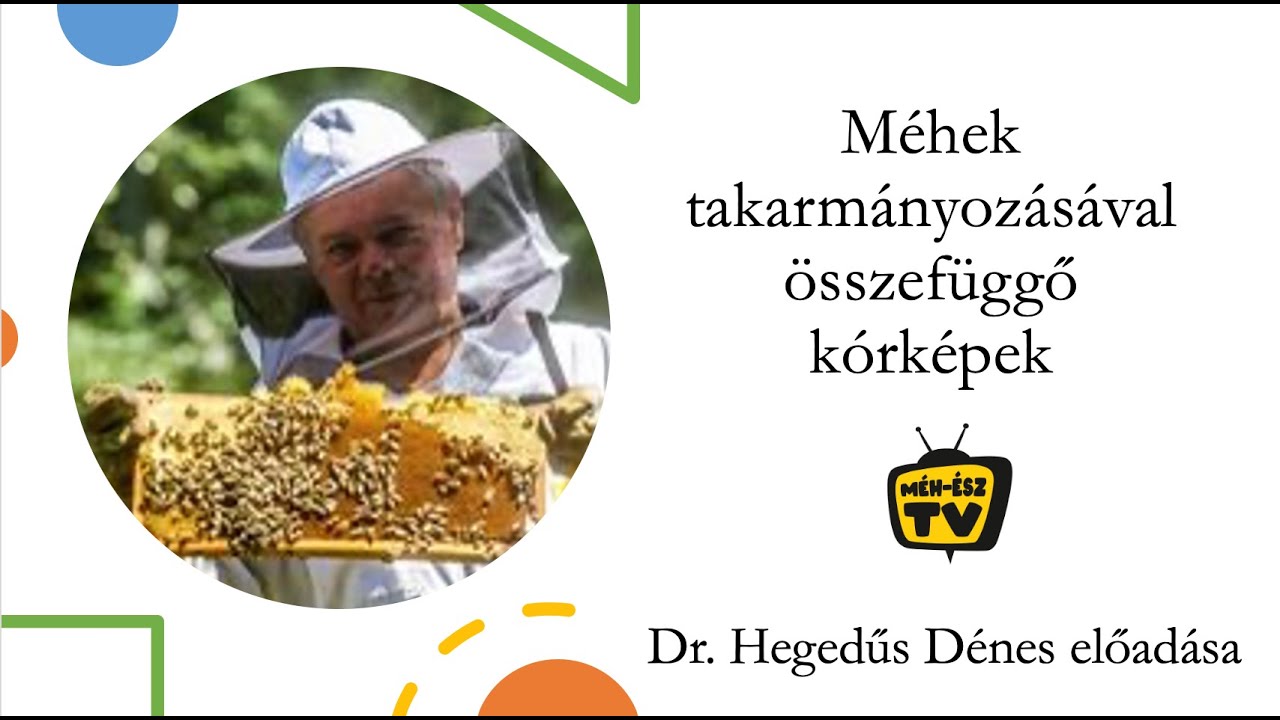 Dr. Hegedűs Dénes : Méhek takarmányozásával összefüggő kórképek 2021 1.rész