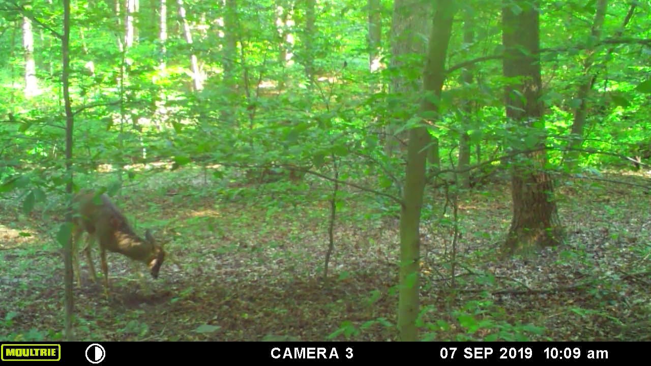 2019 Video Contest - Avery Wrubleski, Pennsylvania
