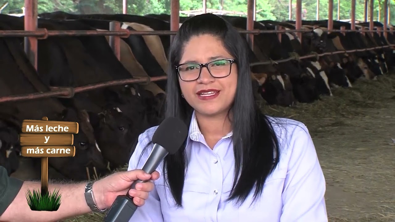 Nº  289, Programa con Agropecuaria AGRIQUIMVET en la Finca El CALLAO en el Tocuyo