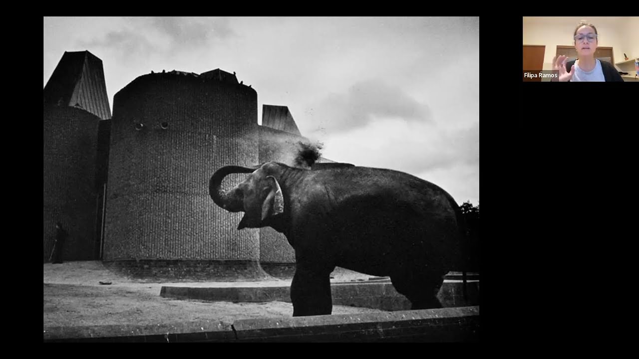 Bauhaus Beyond Humans, a talk with curator and writer Filipa Ramos