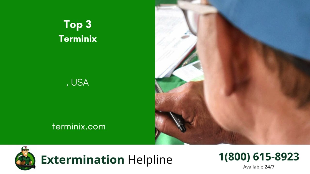 Top 3 Exterminators in St  Clair Shores