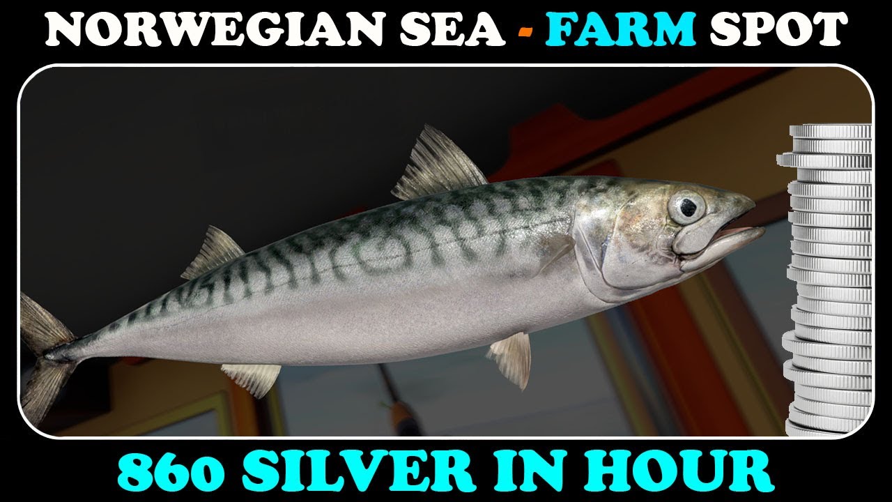 NORWEGIAN SEA - Mackerel and 860 silver in hour - Russian Fishing 4 - RF4