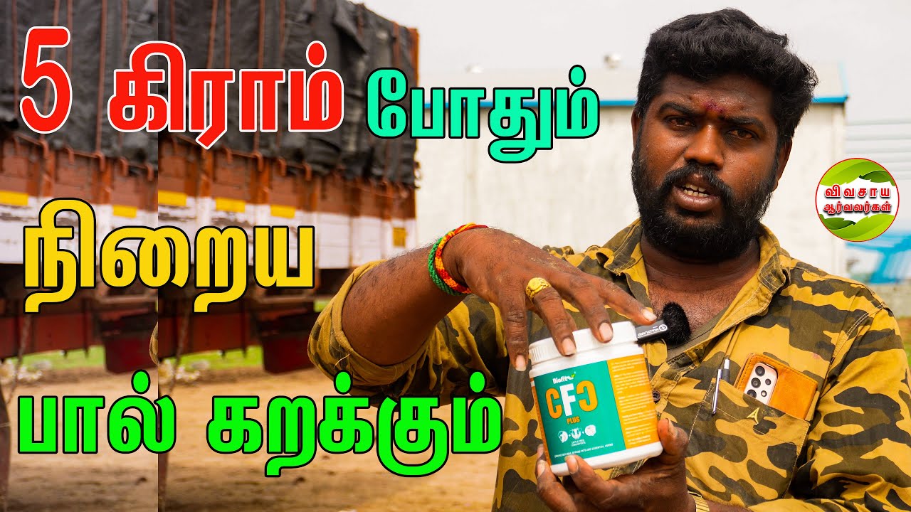 பால் அதிகரிக்க நான் ஏற்கனவே பயன்படுத்திருக்கேன்|ஈரோடு மணிகண்டன் #vivasayaarvalargal #cows #erode