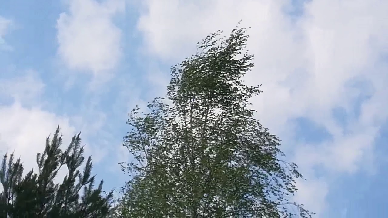 Wichura na polską! Wiatr wieje 210 km na h.!