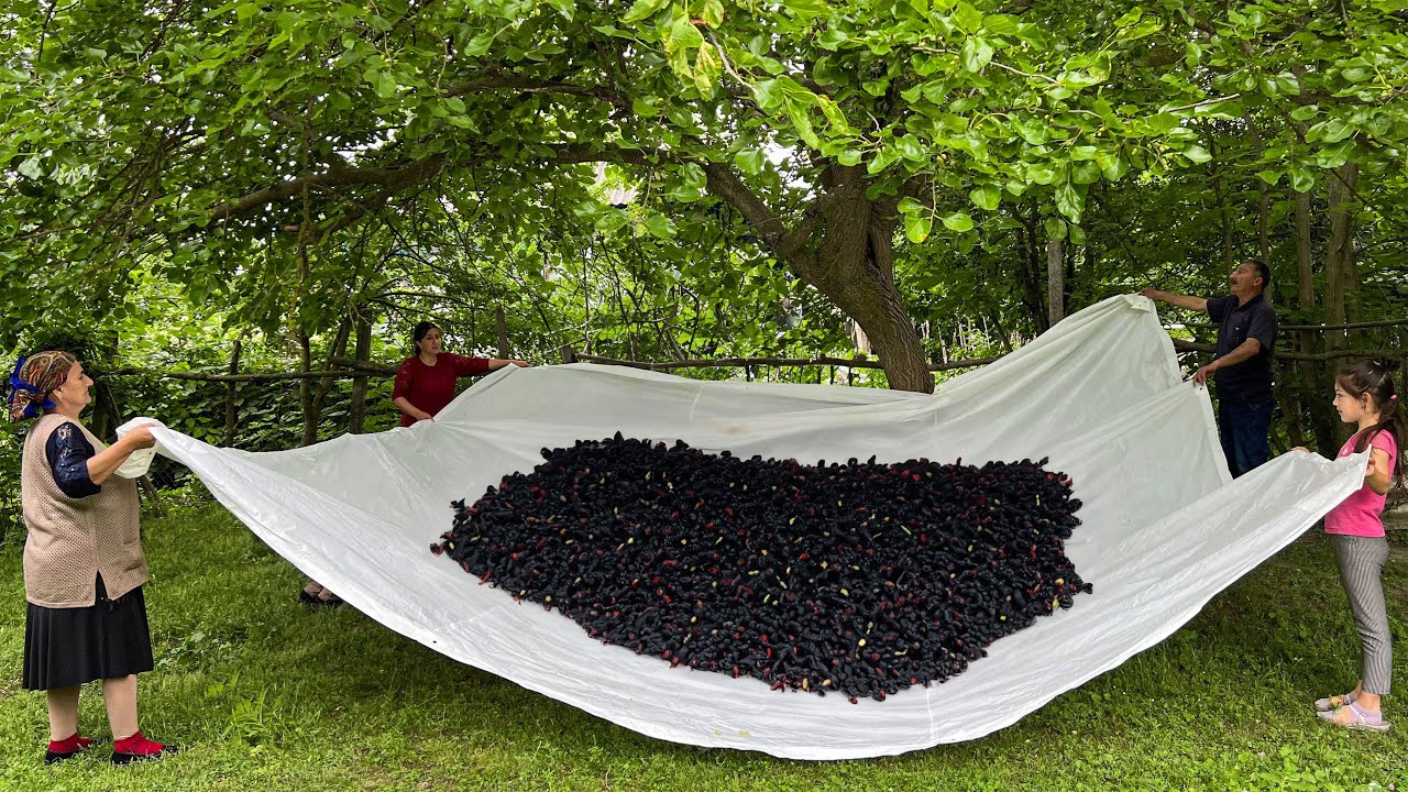 Picked a Berries and Made Jam! Rustic Mulberry Sweetness
