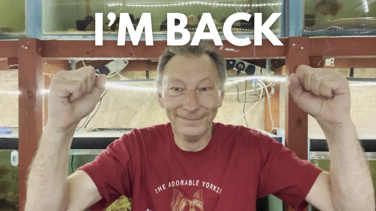 I'M BACK