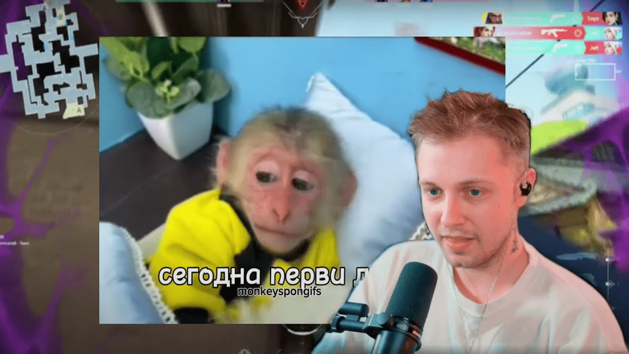 СТИНТ СМОТРИТ: ЛИЦЕМЕРИЕ VALORANT INFO и КЛОУНАДА RIOT