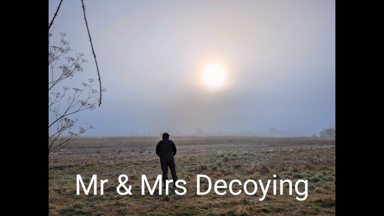 Crow Decoying | Husband & Wife | Benelli Revenge