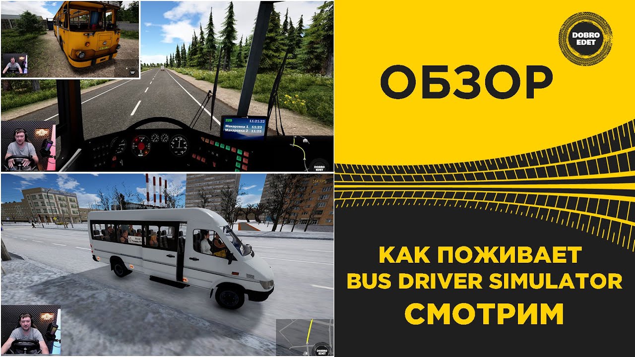 ✅ КАК ПОЖИВАЕТ BUS DRIVER SIMULATOR СМОТРИМ!
