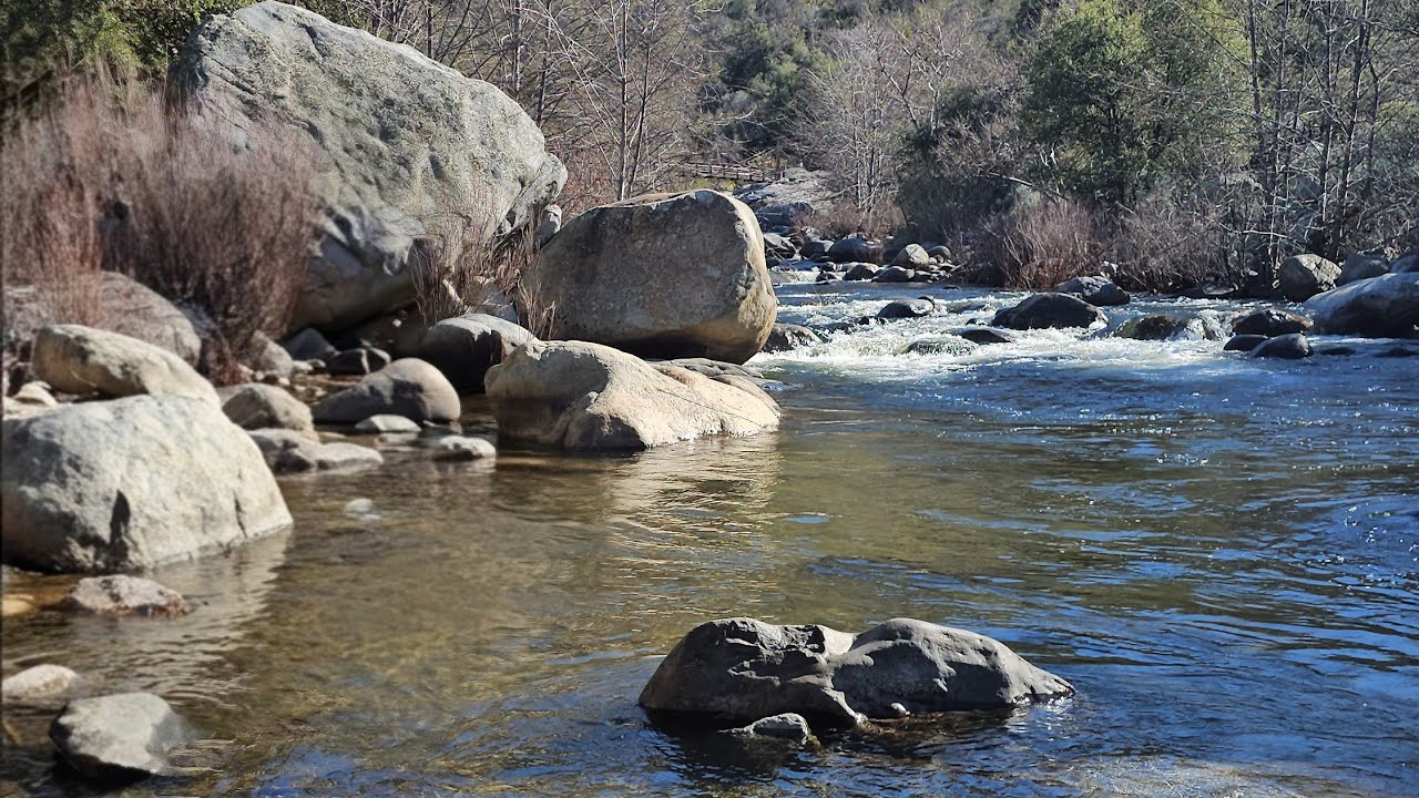 Choteando en Sequoia National Park