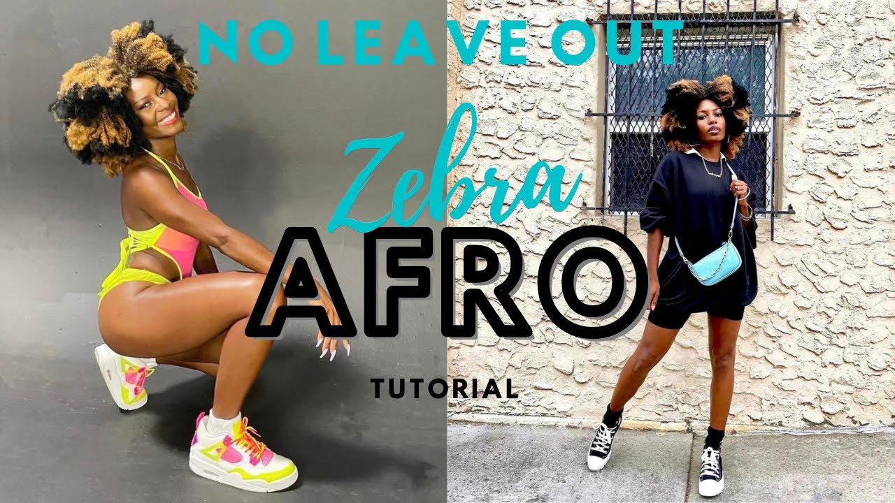Best Affordable 4C-Coily Clip-Ins| NO Leave Out & NO Crochet (Zebra Afro ) ft Outre| Shayna-Renee